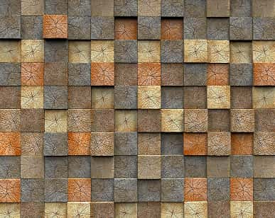 足球 - jrs看球