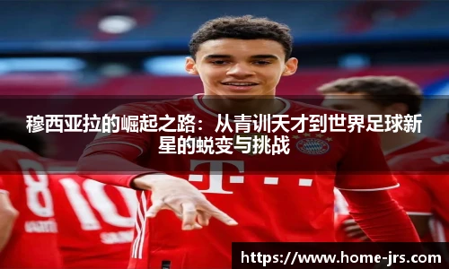jrs低调看高清直播